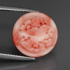 Corail multicolore naturelle forme fantaisie, 9,20 ct, opaque