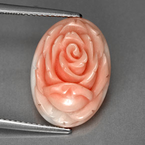 Corail rose naturelle forme fantaisie, 6,20 ct, opaque
