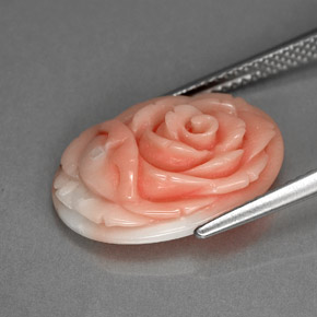 Corail rose naturelle forme fantaisie, 6,20 ct, opaque