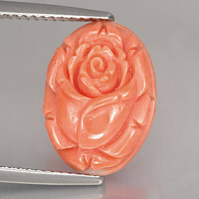 Corail rose naturelle forme fantaisie, 5,90 ct, opaque