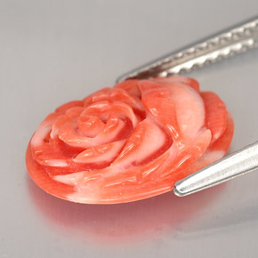 Corail Saumon naturelle Forme fantaisie, 2.36 ct, Opaque