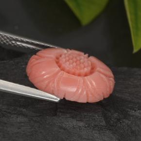 Corail rose naturelle taille fleur, 3,29 ct, opaque