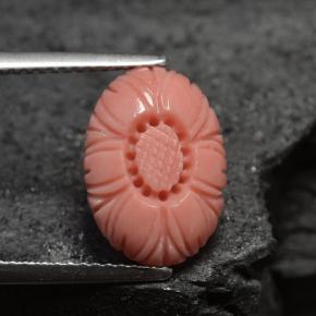 Corail rose naturelle forme fantaisie, 3,66 ct, opaque