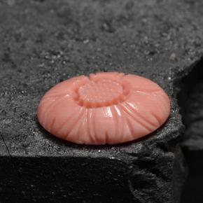 Corail rose naturelle forme fantaisie, 3,66 ct, opaque