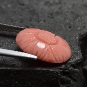 Corail rose naturelle forme fantaisie, 3,66 ct, opaque