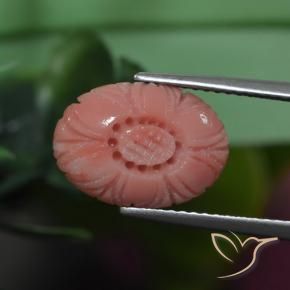 Corail Ton rose rougeâtre naturelle Taille Fleur, 3.19 ct, Opaque
