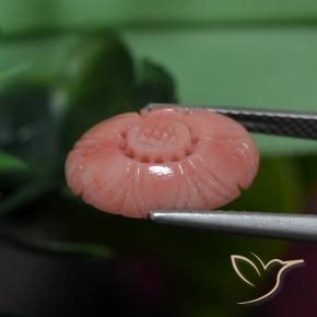 Corail Ton rose rougeâtre naturelle Taille Fleur, 3.19 ct, Opaque