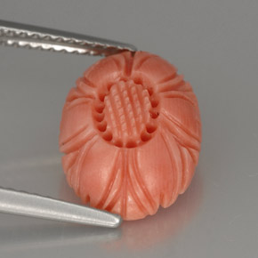 Corail rose naturelle forme fantaisie, 3,24 ct, opaque