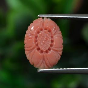 Corail Ton rose rougeâtre naturelle Taille Fleur, 3.00 ct, Opaque