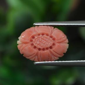 Corail Ton rose rougeâtre naturelle Taille Fleur, 3.00 ct, Opaque