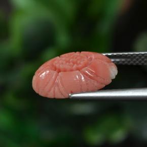 Corail Ton rose rougeâtre naturelle Taille Fleur, 3.00 ct, Opaque