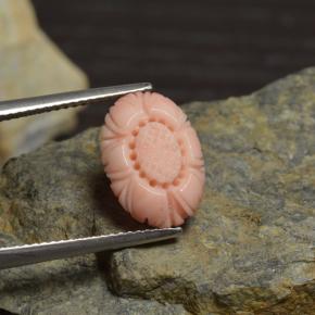 Corail rose naturelle taille fleur, 3,39 ct, opaque