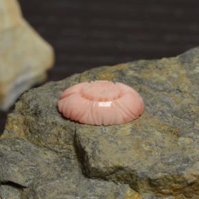 Corail rose naturelle taille fleur, 3,39 ct, opaque