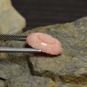 Corail rose naturelle taille fleur, 3,39 ct, opaque