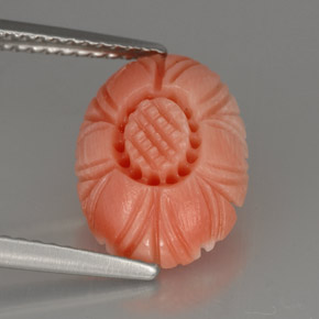 Corail rose naturelle taille fleur, 2,52 ct, opaque