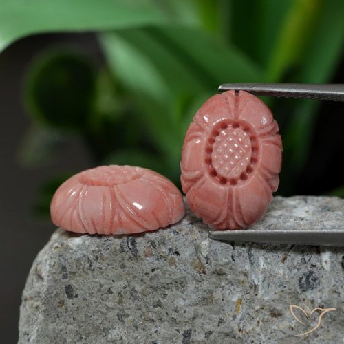 Achetez naturel 9.38ct Rose moyen Corail gems, Taille Fleur, En provenance Australie chez GemSelect. En stock, livraison internationale!