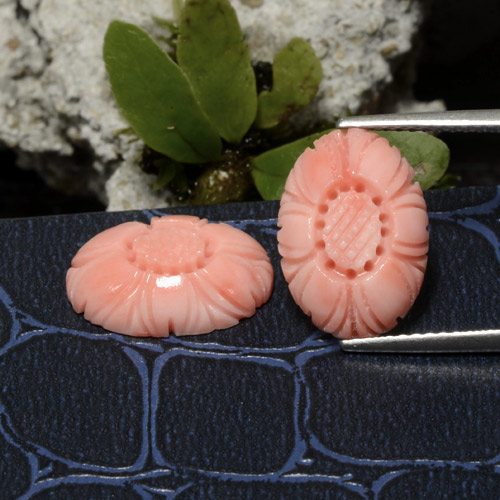 Achetez naturel 7.41ct Rose moyen Corail gems, Taille Fleur, En provenance Australie chez GemSelect. En stock, livraison internationale!
