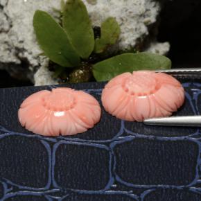 Achetez naturel 7.41ct Rose moyen Corail gems, Taille Fleur, En provenance Australie chez GemSelect. En stock, livraison internationale!