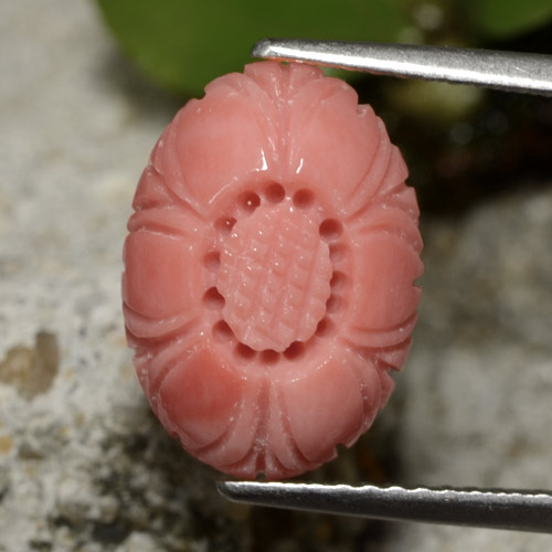 Corail rouge naturelle taille fleur, 3,67 ct, opaque
