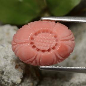Corail rouge naturelle taille fleur, 3,67 ct, opaque