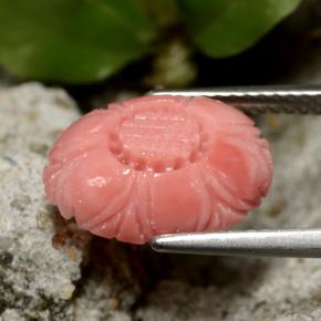 Corail rouge naturelle taille fleur, 3,67 ct, opaque