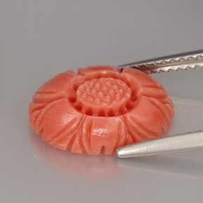 Corail rose naturelle forme fantaisie, 3,32 ct, opaque