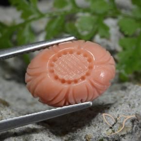 Corail Pêche rose rosé naturelle Taille Fleur, 4.11 ct, Opaque