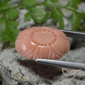 Corail Pêche rose rosé naturelle Taille Fleur, 4.11 ct, Opaque