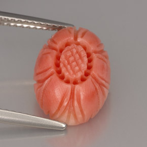 Corail rose naturelle forme fantaisie, 4,16 ct, opaque