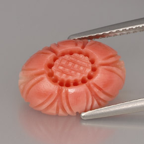 Corail rose naturelle forme fantaisie, 4,16 ct, opaque