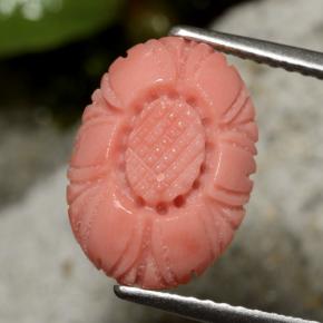 Corail rouge naturelle taille fleur, 3,10 ct, opaque