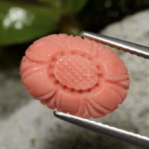 Corail rouge naturelle taille fleur, 3,10 ct, opaque