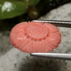 Corail rouge naturelle taille fleur, 3,10 ct, opaque