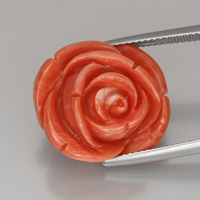 Corail rose naturelle forme fantaisie, 22,75 ct, opaque