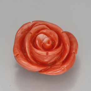 Corail rose naturelle forme fantaisie, 22,75 ct, opaque