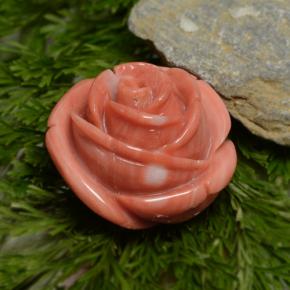 Corail rose naturelle forme fantaisie, 23,75 ct, opaque