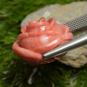 Corail rose naturelle forme fantaisie, 23,75 ct, opaque