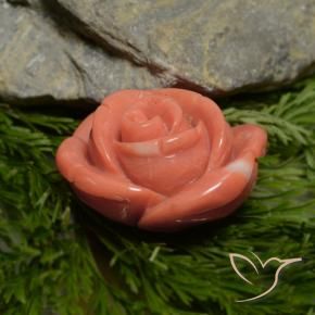 Corail Rose saumon profond naturelle Fantaisie, 18.78 ct, Opaque