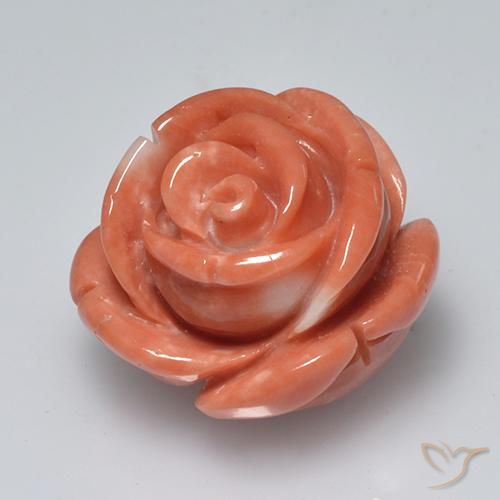 Corail Rose moyen naturelle Taille Fleur, 19.58 ct, Opaque
