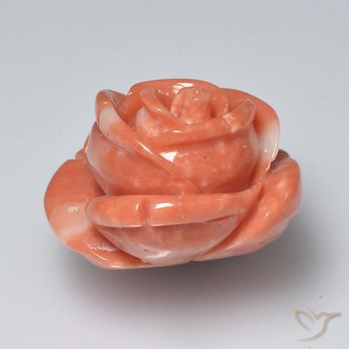 Corail Rose moyen naturelle Taille Fleur, 19.58 ct, Opaque