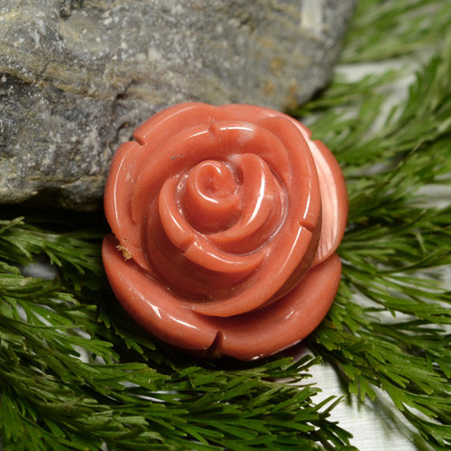 Corail Rose moyen naturelle Forme fantaisie, 18.58 ct, Opaque