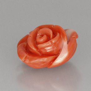 Corail Saumon naturelle Forme fantaisie, 10.33 ct, Opaque