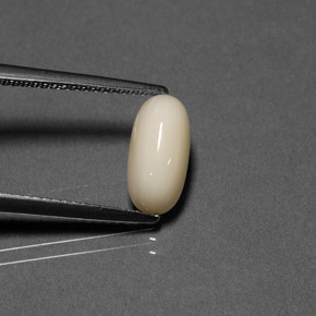 Corail crème naturelle coupe ovale, 2,21 ct, opaque