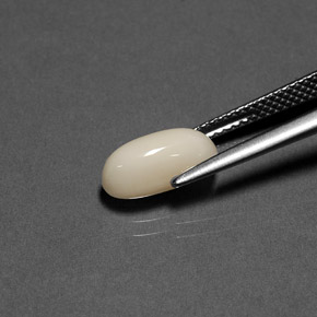 Corail crème naturelle coupe ovale, 2,21 ct, opaque