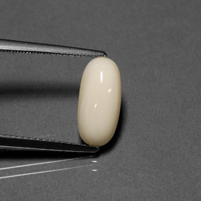Corail blanc naturelle coupe ovale, 2,41 ct, opaque
