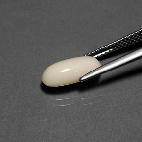 Corail blanc naturelle coupe ovale, 2,41 ct, opaque