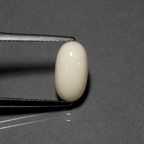 Corail Blanc naturelle Coupe ovale, 2.23 ct, Opaque