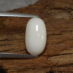 Corail Blanc grisâtre léger naturelle Coupe ovale, 2.27 ct, Opaque