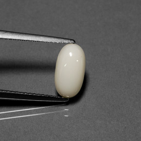 Corail blanc naturelle coupe ovale, 1,84 ct, opaque