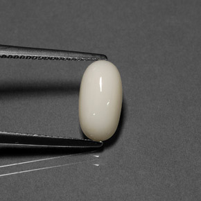 Corail blanc naturelle coupe ovale, 2,02 ct, opaque